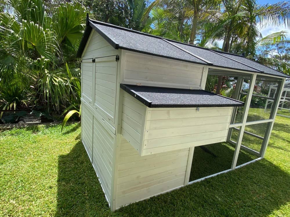 Castle Cat Enclosure - Back