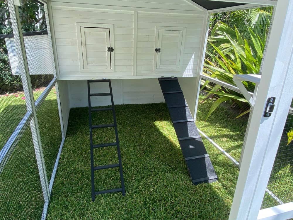 Castle Cat Enclosure - Ramps