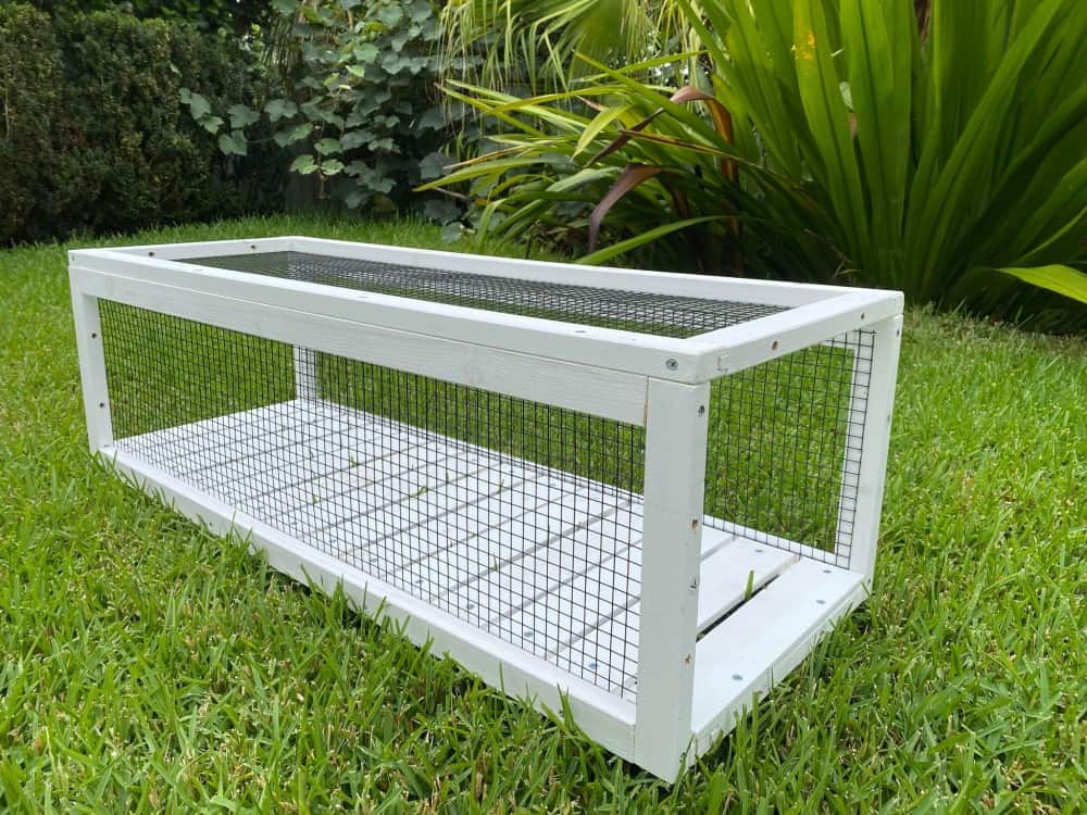 Luna Cat Tunnel Kit - Runway