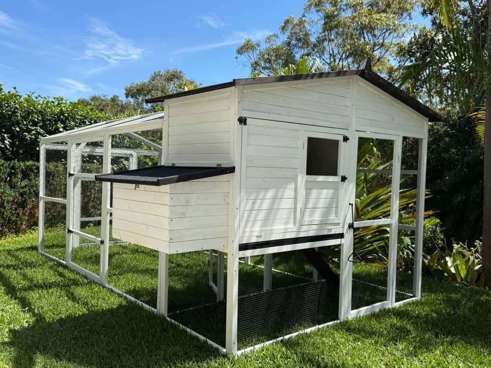 Majestic Chicken Coop and Run