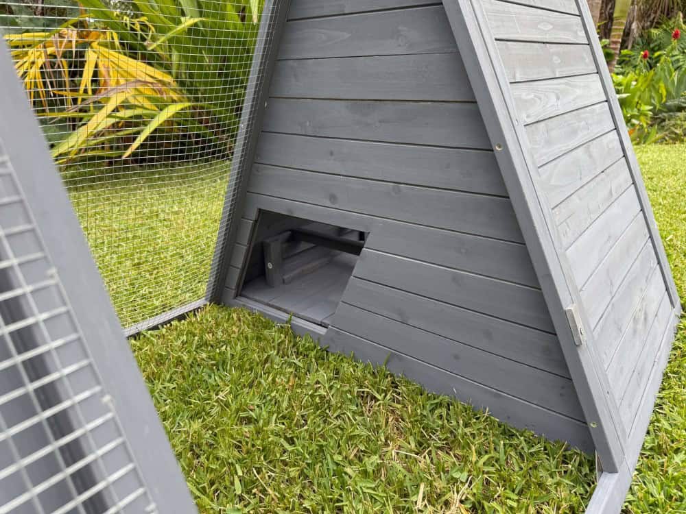 Lodge Chicken Coop - Door Opens with String