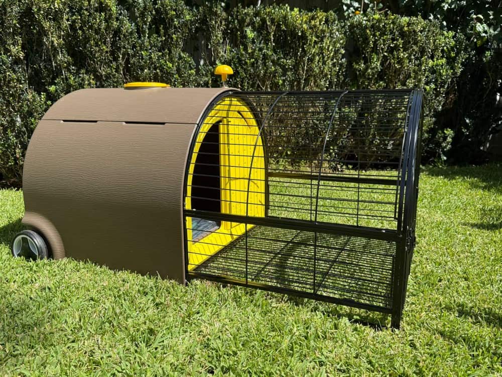 Buttercup Plastic Rabbit Hutch - Tray removed