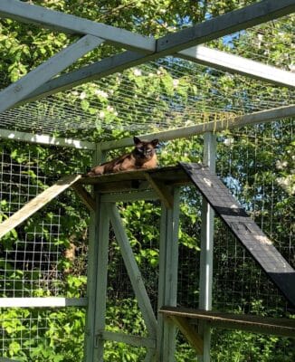 Large Wooden Outdoor Cat Runs